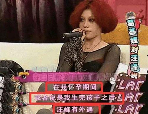 何兰田的前妻爆料视频,揭秘婚姻背后的惊人真相  第2张