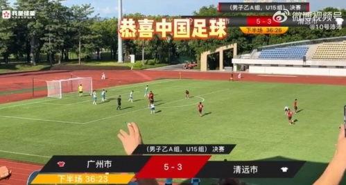 选手爆料假球视频播放在线观看