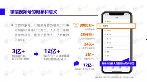 天津爆料小仙女视频下载,视频下载背后的故事 第3张 天津爆料小仙女视频下载,视频下载背后的故事 第3张