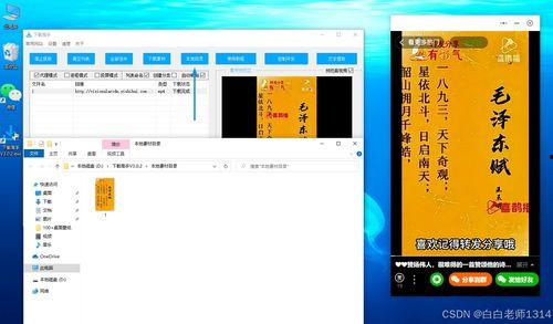 小程序百姓爆料视频下载,揭秘生活百态，共赏社会万象