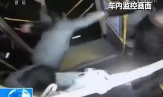 郑州甘蔗爆料事件始末视频,真相与争议的漩涡