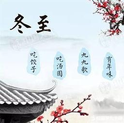 冬至餐饮视频爆料大全,揭秘各大餐饮品牌冬至特色菜品