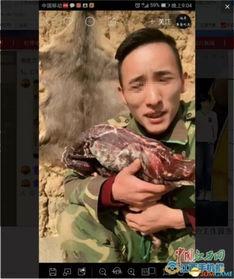 超哥爆料高清视频在线观看,高清视频在线观看，揭秘幕后真相  第3张