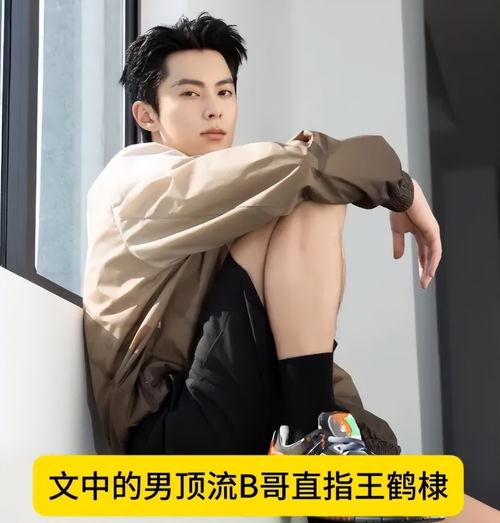 王鹤棣娱乐圈吃瓜事件,揭秘吃瓜背后的真相 第3张 王鹤棣娱乐圈吃瓜事件,揭秘吃瓜背后的真相 第3张
