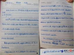 桃园日记最新爆料篇,揭秘幕后真相与惊人内幕  第2张