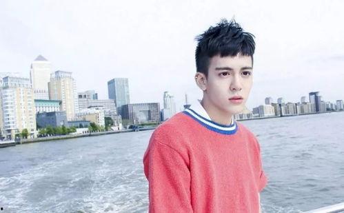 圈内大爆料刘宪华女友是谁,揭秘神秘女友身份