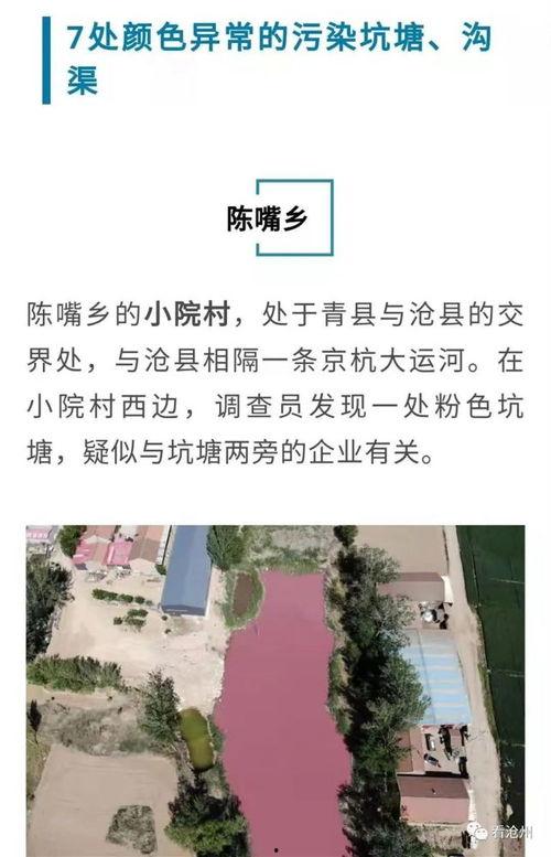 廊坊16中最新爆料事件  第3张