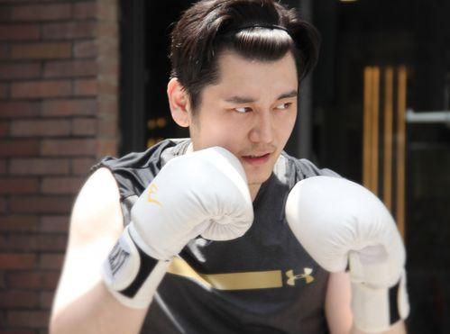 樊小辉爆料视频大全,揭秘背后真相与精彩瞬间