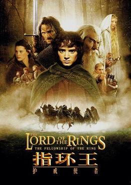 护戒使者在线观看,在线观看，踏上奇幻征程  第2张