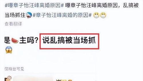 刘大锤爆料最新爆料,揭秘娱乐圈最新惊天秘密！  第2张